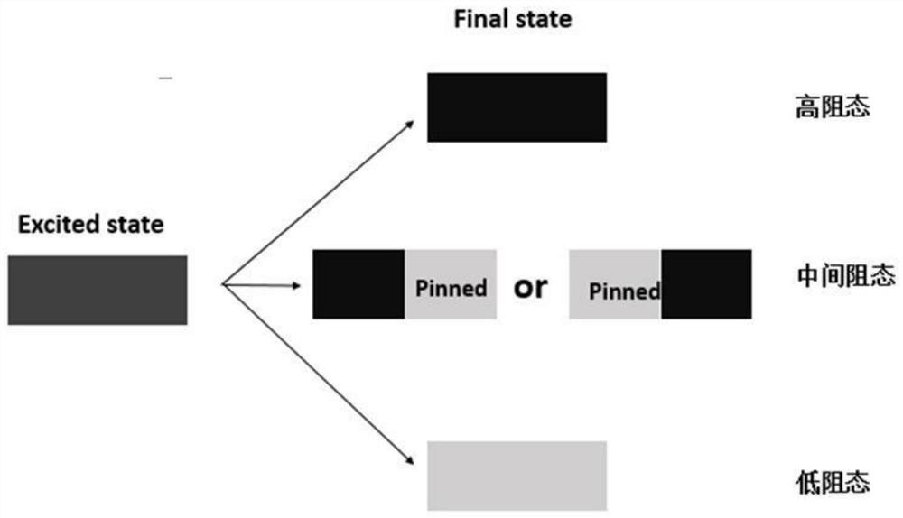 Electron Spin-Based Polymorphic True Random Number Generator