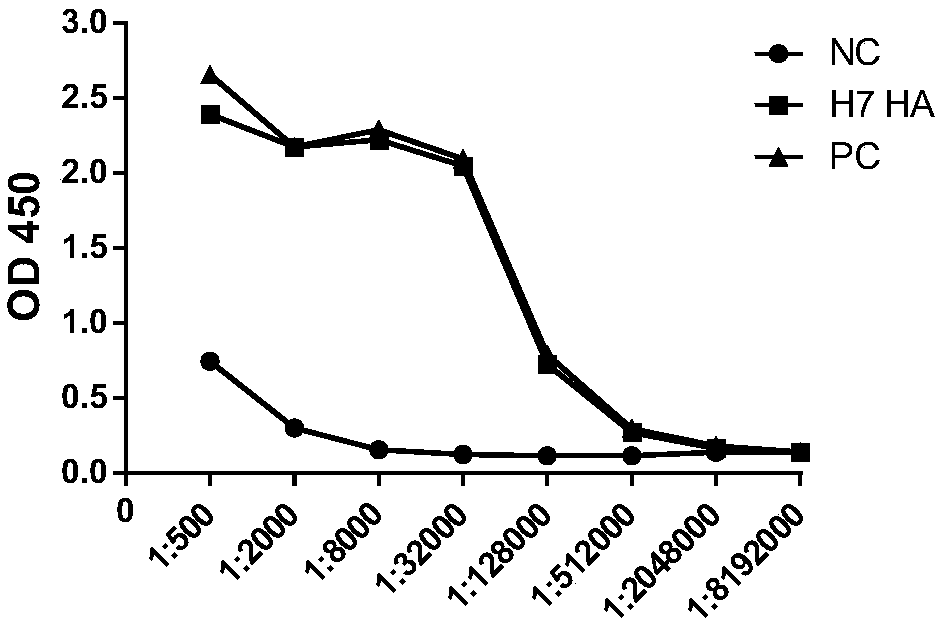 Neutralizing monoclonal antibodies for resisting H7N9 influenza virus