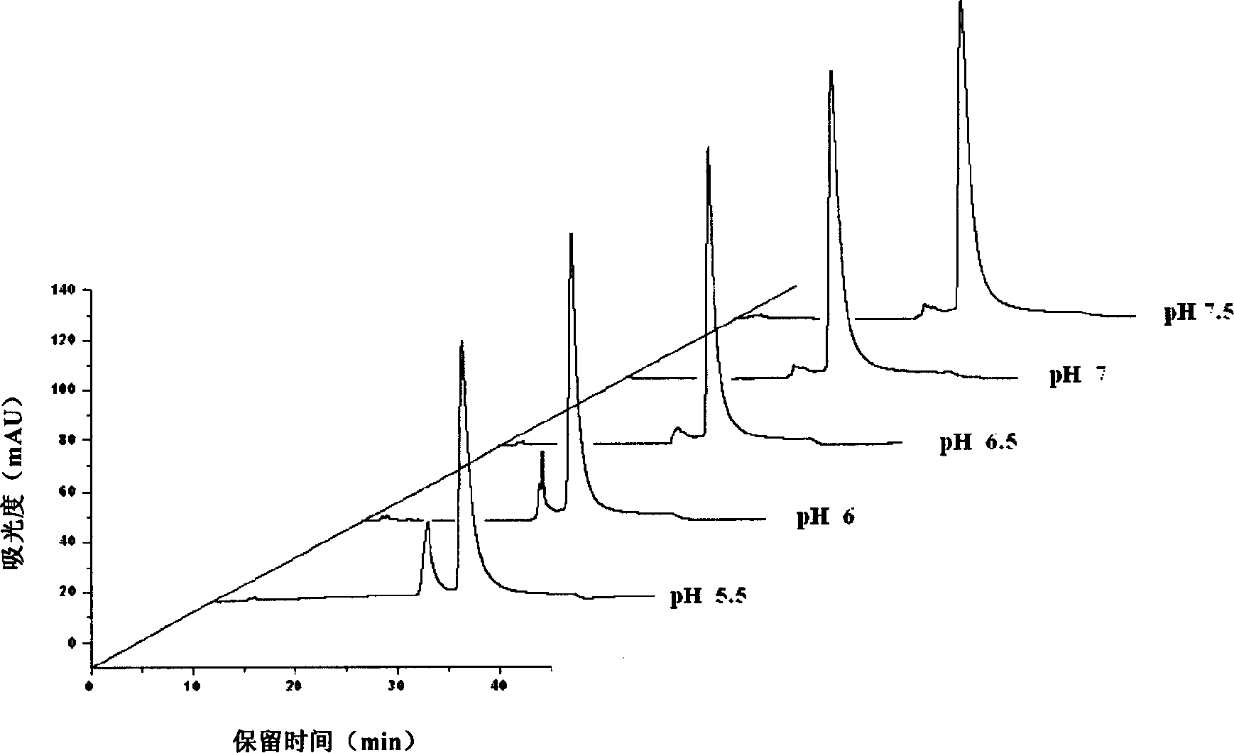 Affinity chromatograph filling and producing process and application thereof