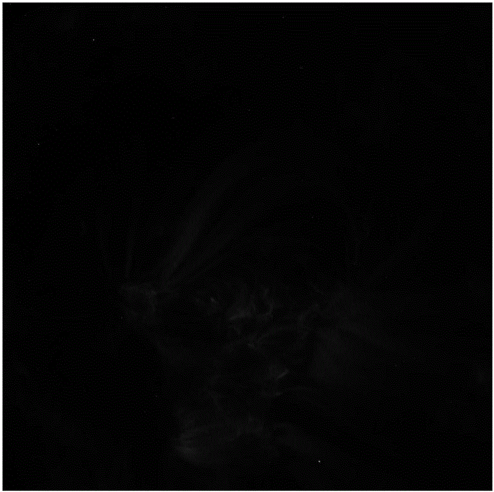 Solar activity target detection method based on square grid structure