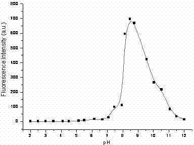 Novel pH response fluorescent molecular probe and application thereof