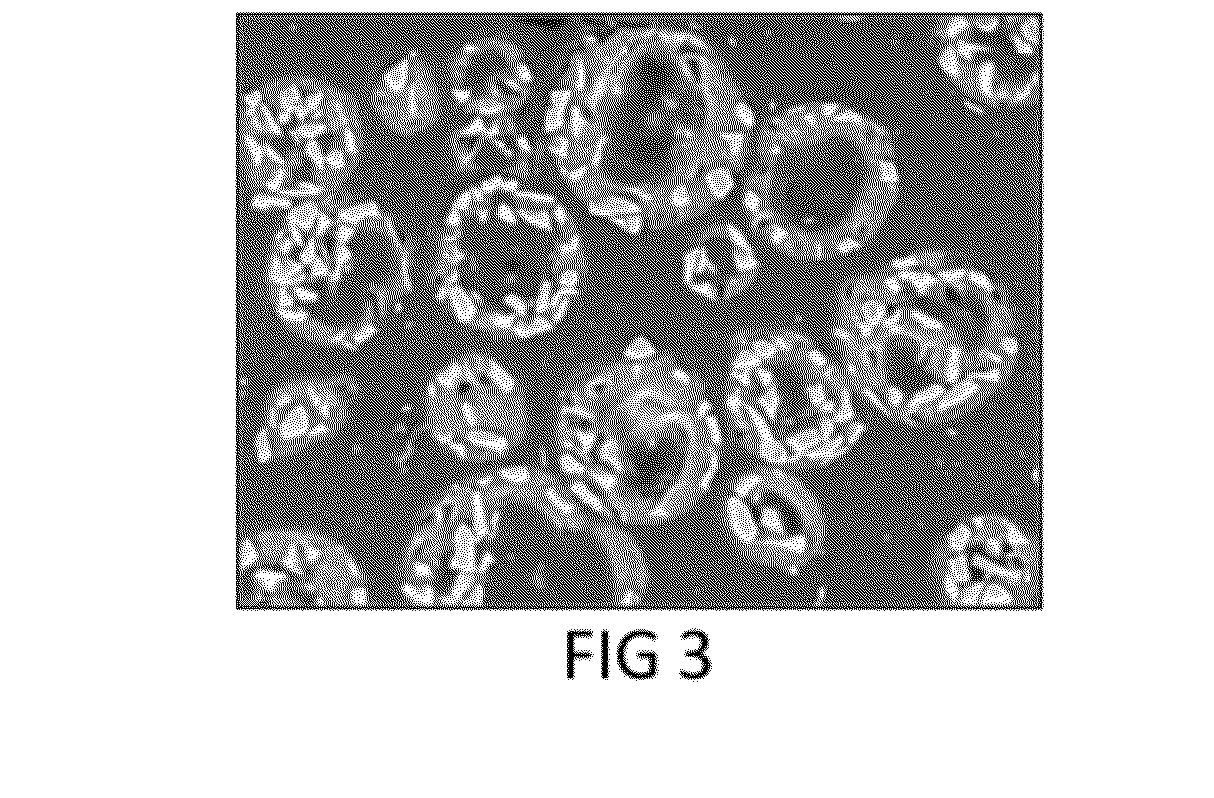 Coated abrasive aggregates and products containg same