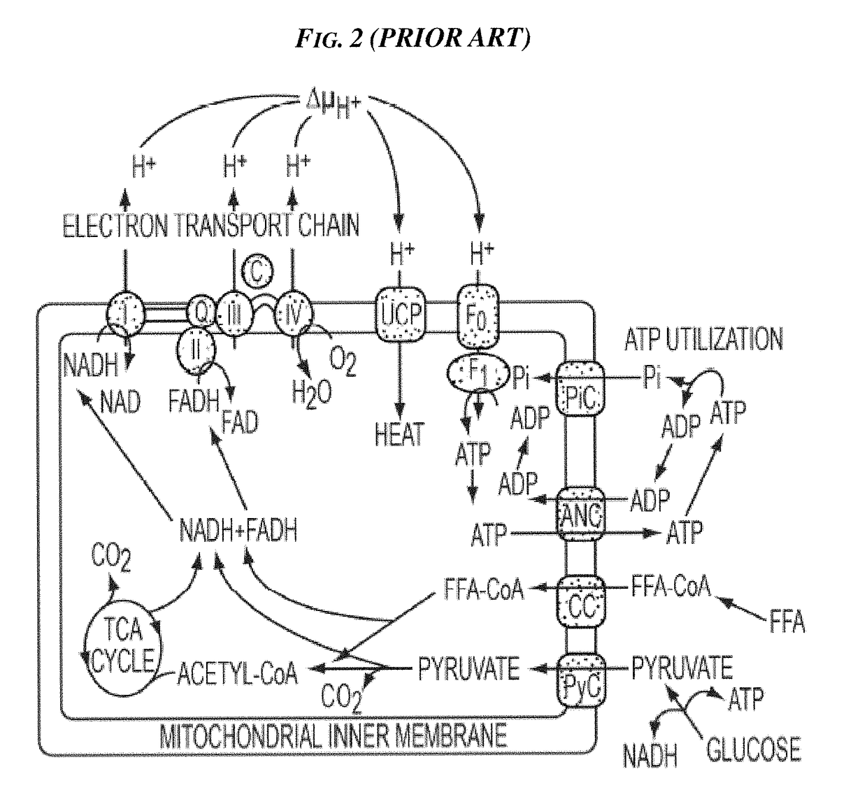 Methods and devices for activating brown adipose tissue using electrical energy