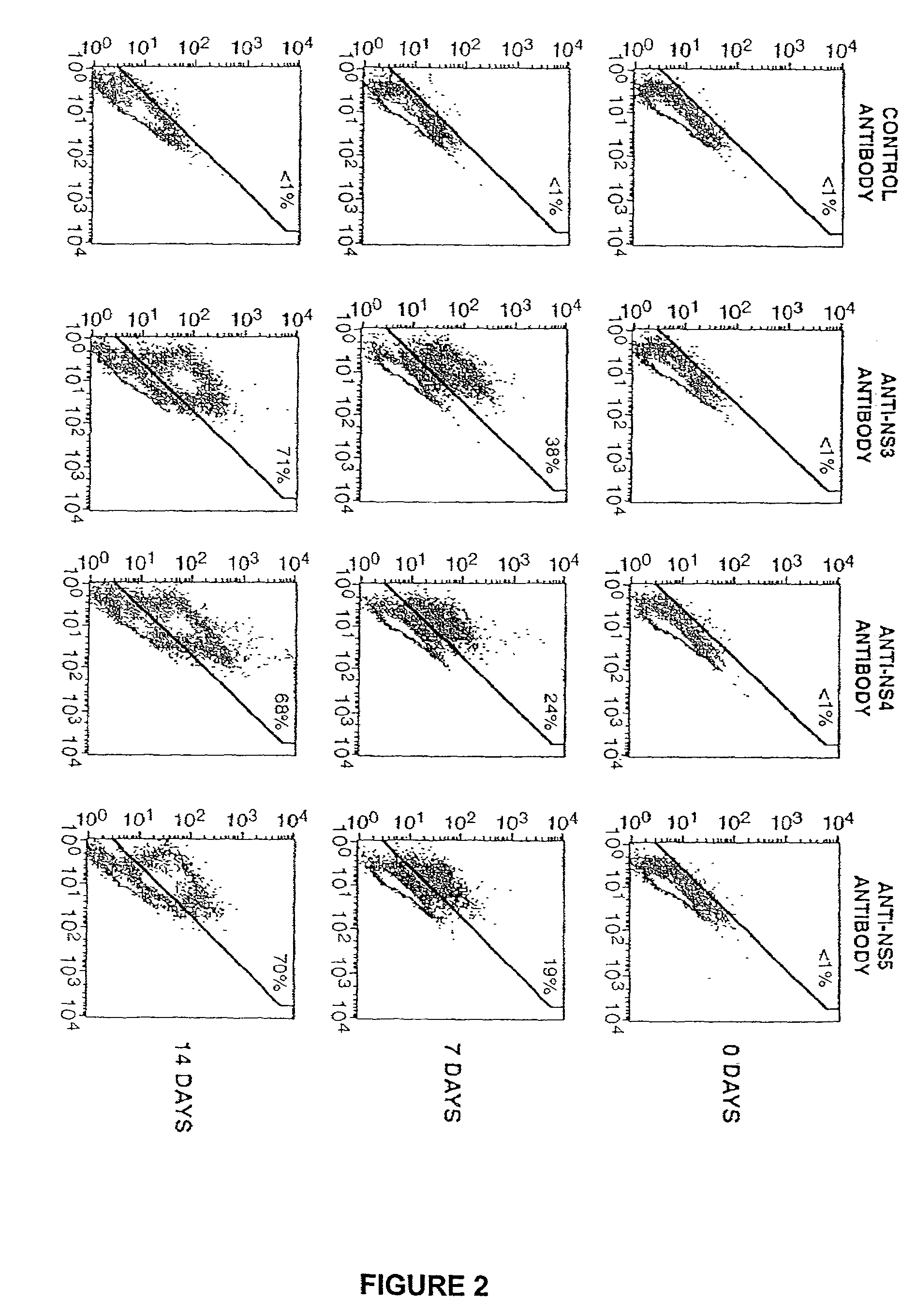 Cell culture system for synthesis of infectious hepatitis C virus