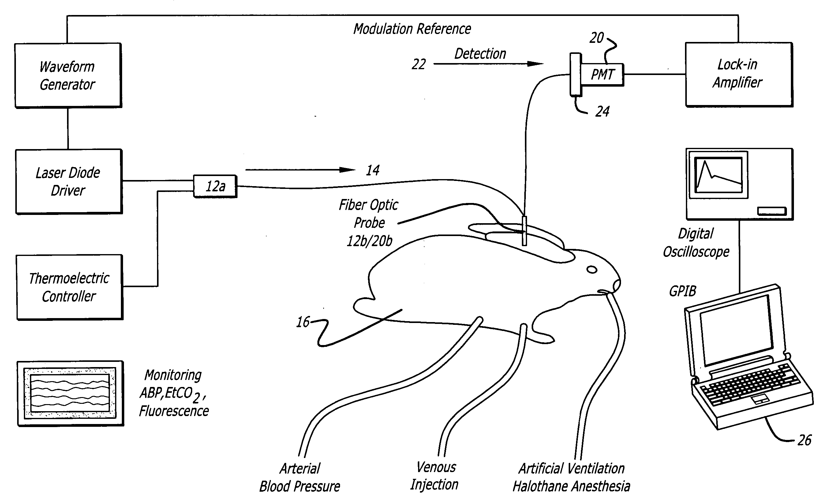 Measurement of cardiac output and blood volume by non-invasive detection of indicator dilution