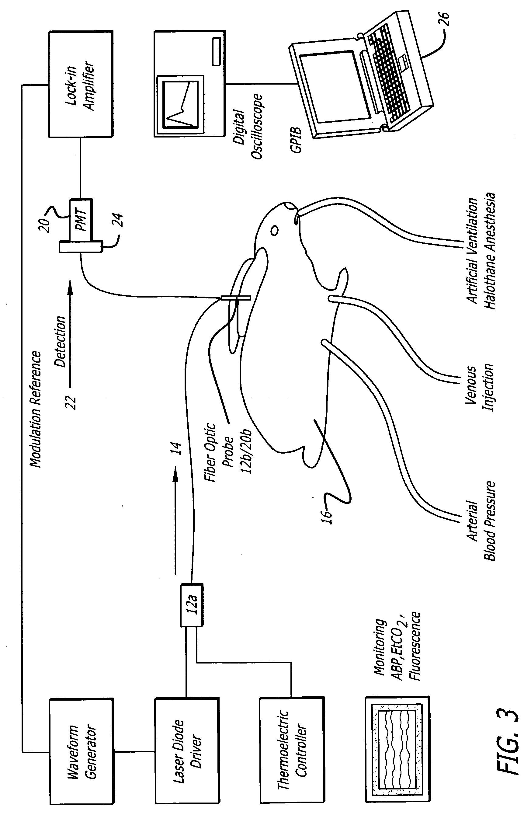 Measurement of cardiac output and blood volume by non-invasive detection of indicator dilution