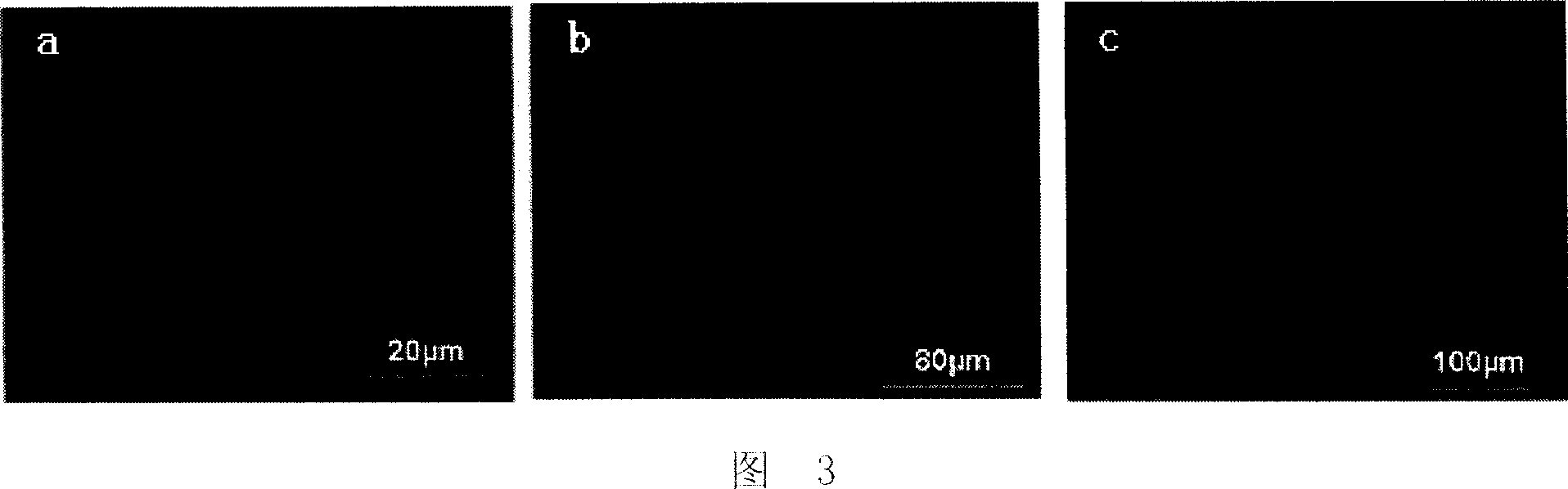 Location method for nano materials synthesis used catalyst