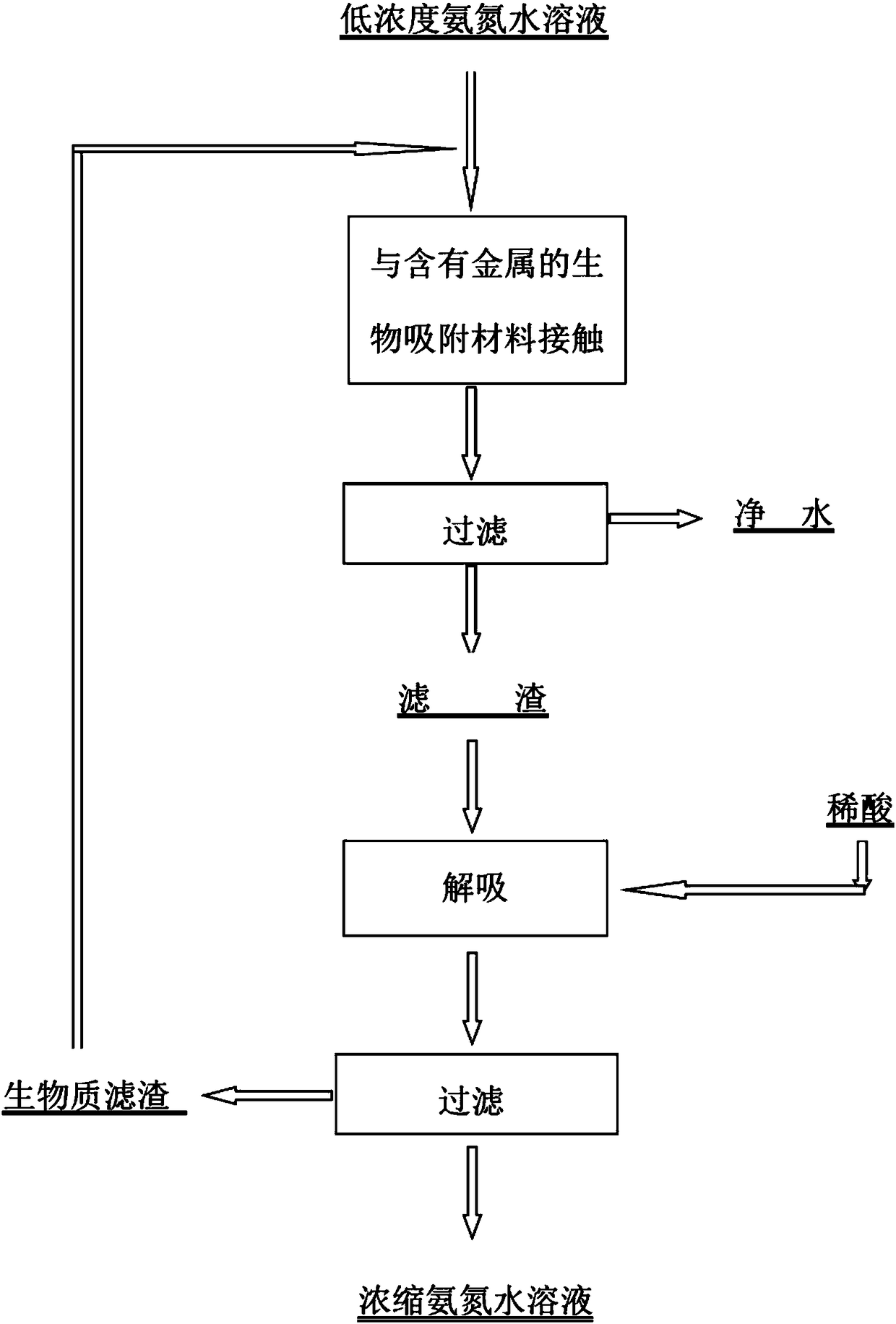 Method for removing low-concentration ammonia nitrogen in water body through biological adsorption