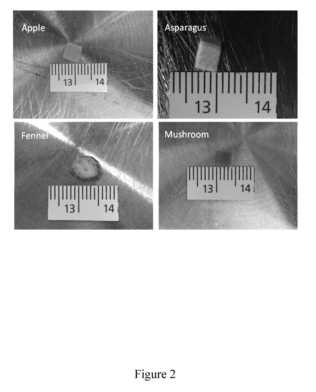 Decellularised cell wall structures from plants and fungus and use thereof as scaffold materials