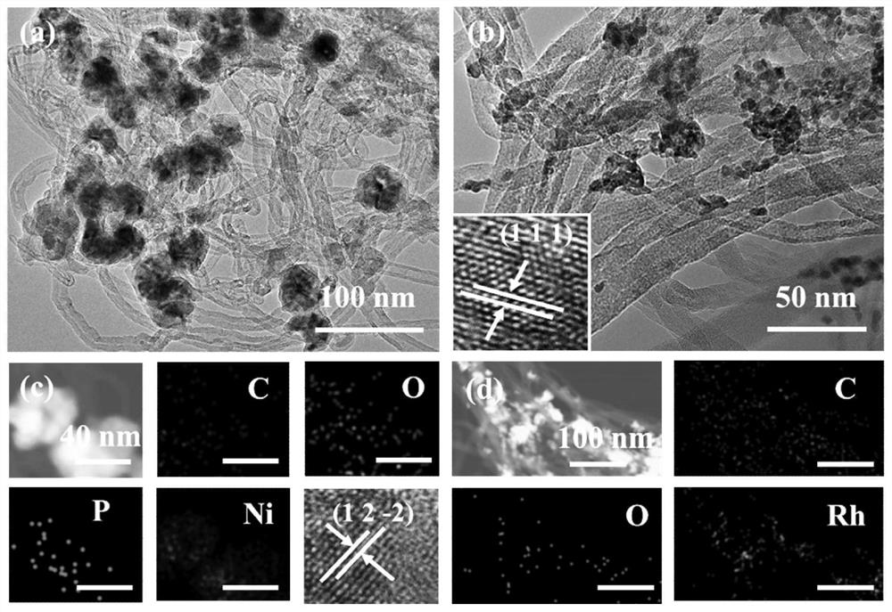 Noble metal rhodium hydrogen evolution electrocatalyst and application