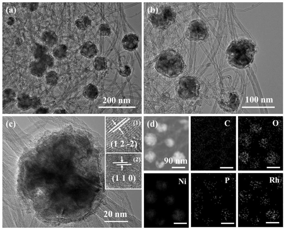 Noble metal rhodium hydrogen evolution electrocatalyst and application