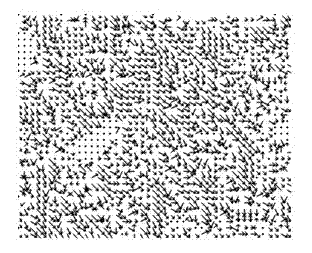 Computing method of video fluid height