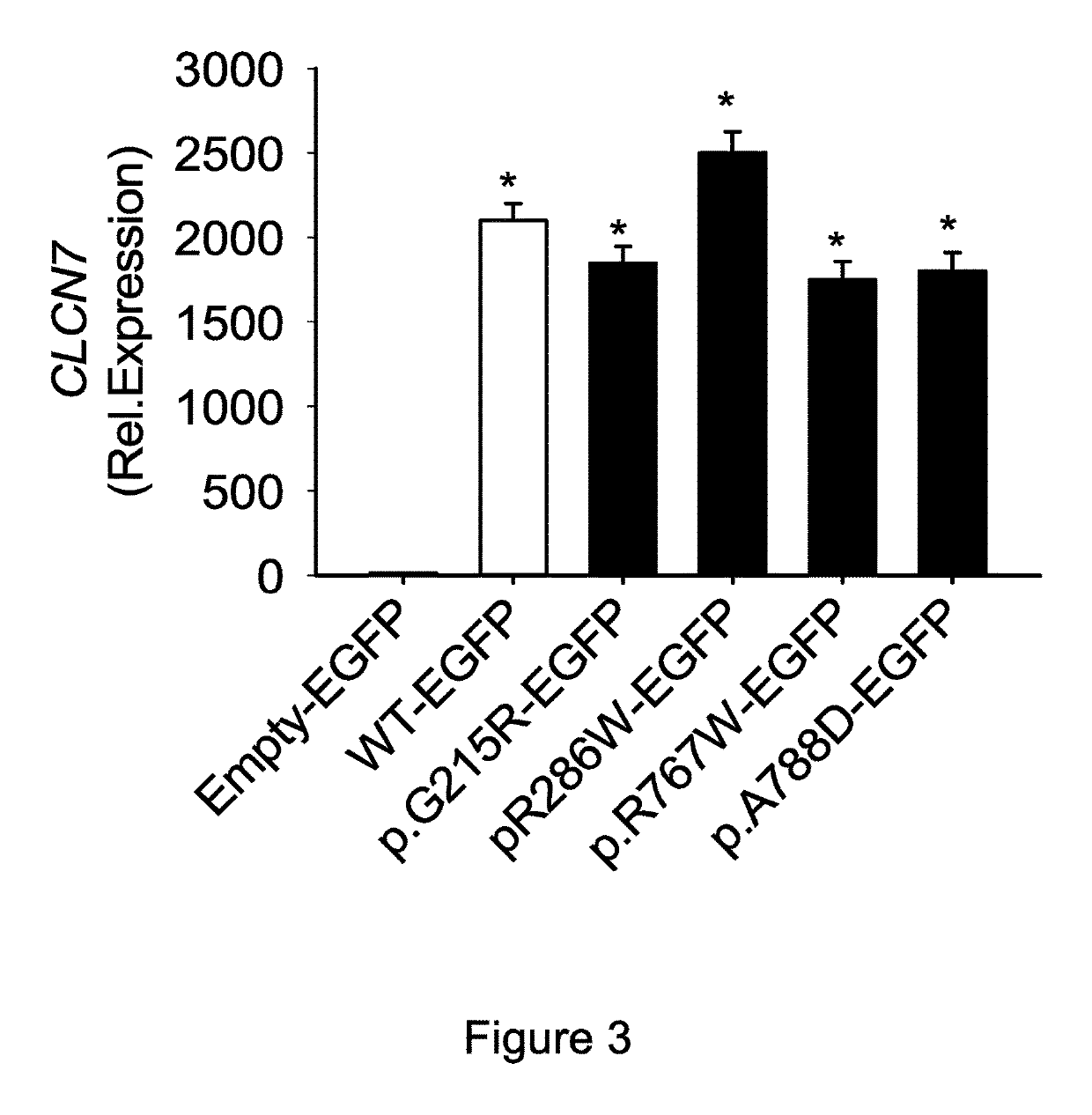 Small interfering RNA (siRNA) for the therapy of type 2 (ADO2) autosomal dominant osteopetrosis caused by CLCN7 (ADO2 CLCN7-dependent) gene mutation