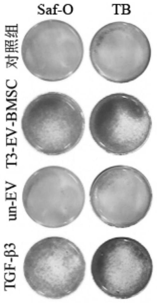 Hydrogel material for promoting cartilage repair as well as preparation method and application of hydrogel material