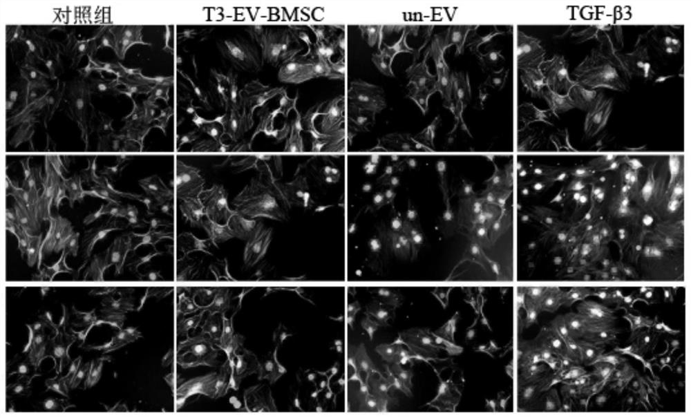 Hydrogel material for promoting cartilage repair as well as preparation method and application of hydrogel material