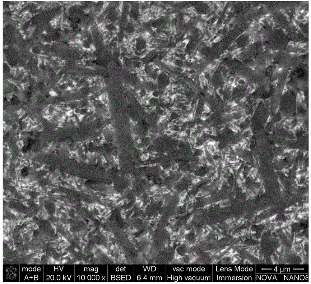 Silicon nitride ceramic and preparation method thereof