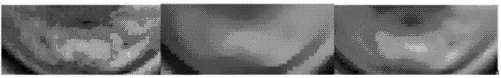 Facial expression recognition method with noise robust