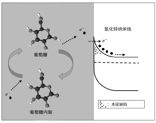 A kind of preparation technology of non-enzymatic glucose sensing detection system