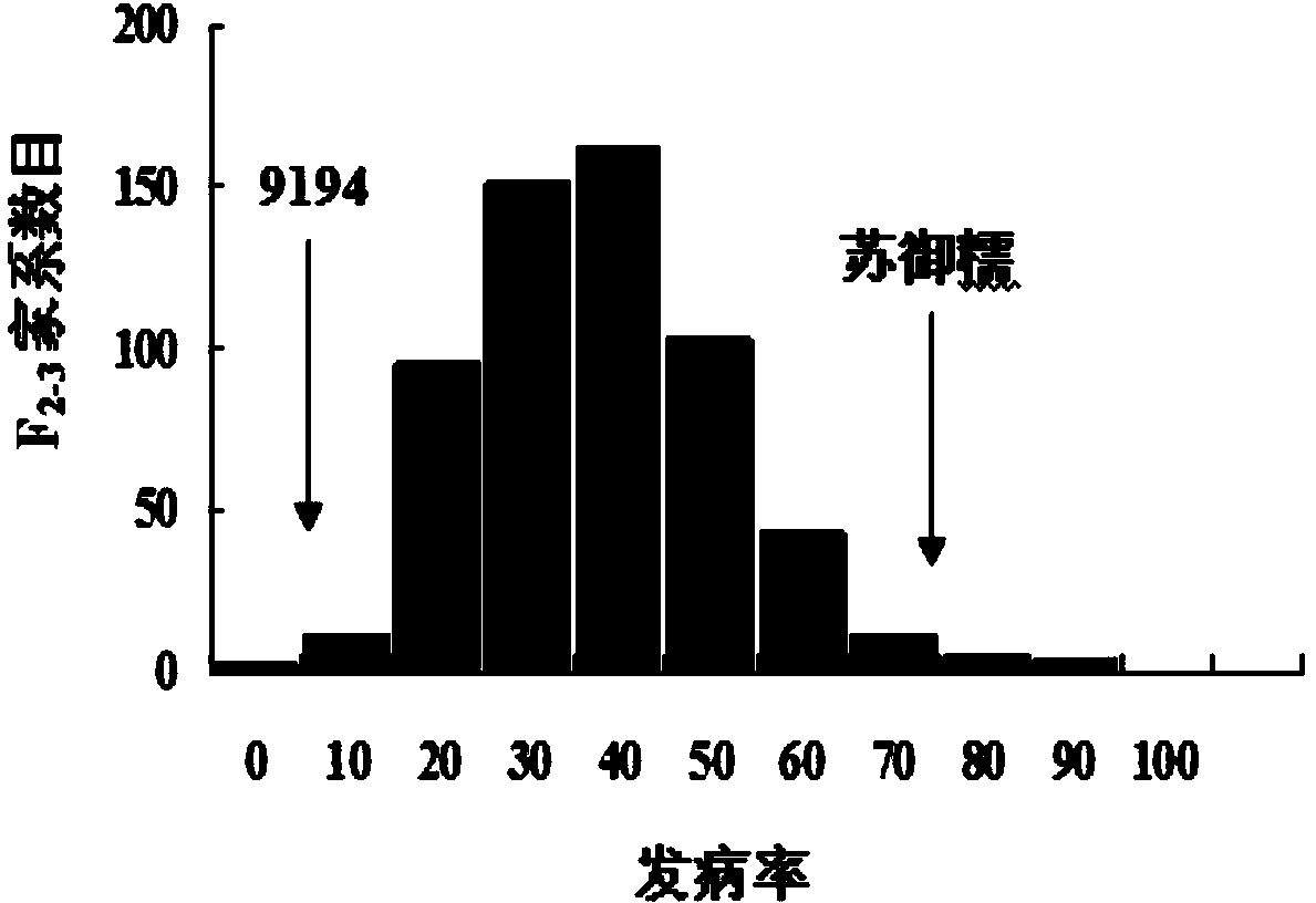 Rice black-streaked dwarf virus (RBSDV) resistant locus qRBSDV9 of rice variety 9194 and molecular marker method thereof