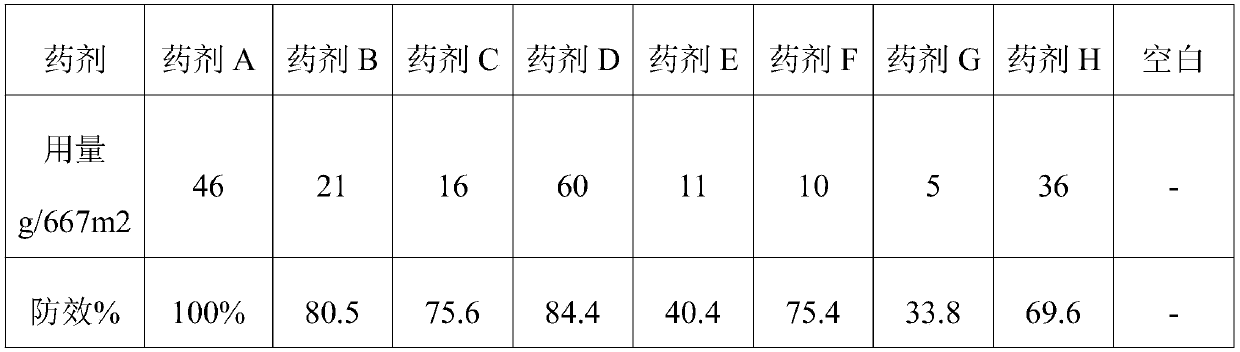 Herbicide composition containing quinclorac, nicosulfuron and terbuthylazine