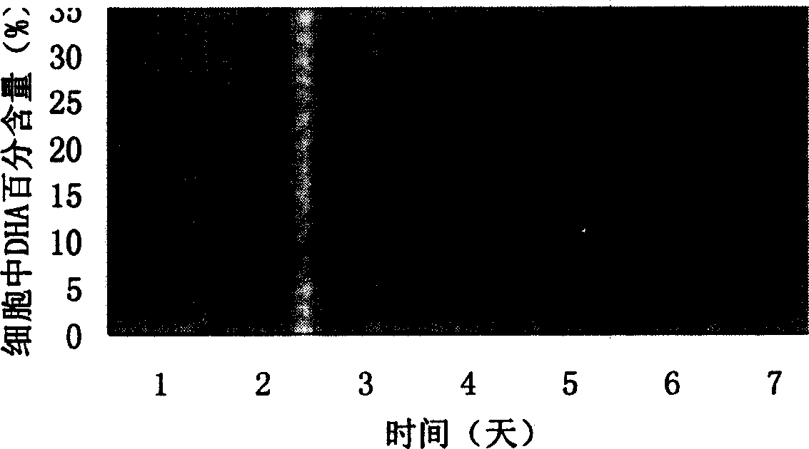 Industrial use of marine fungus fission chytrid OUC88