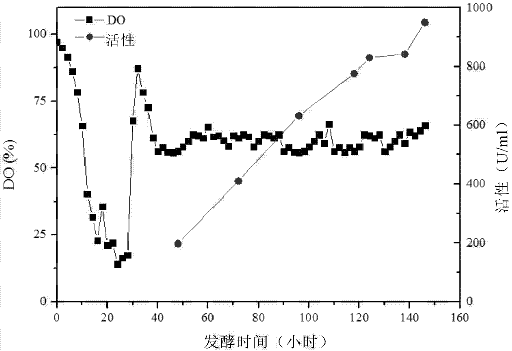 Fermentation control process for Mut&lt;s&gt; type recombinant Pichia pastoris