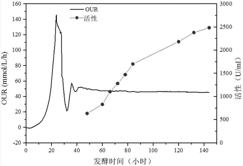 Fermentation control process for Mut&lt;s&gt; type recombinant Pichia pastoris