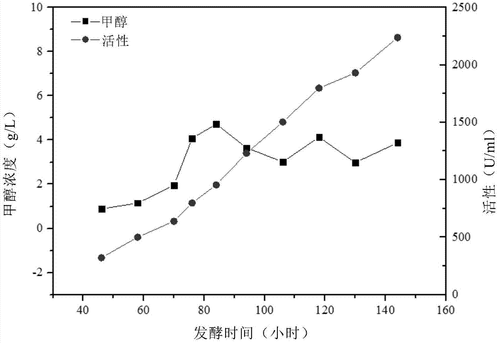 Fermentation control process for Mut&lt;s&gt; type recombinant Pichia pastoris