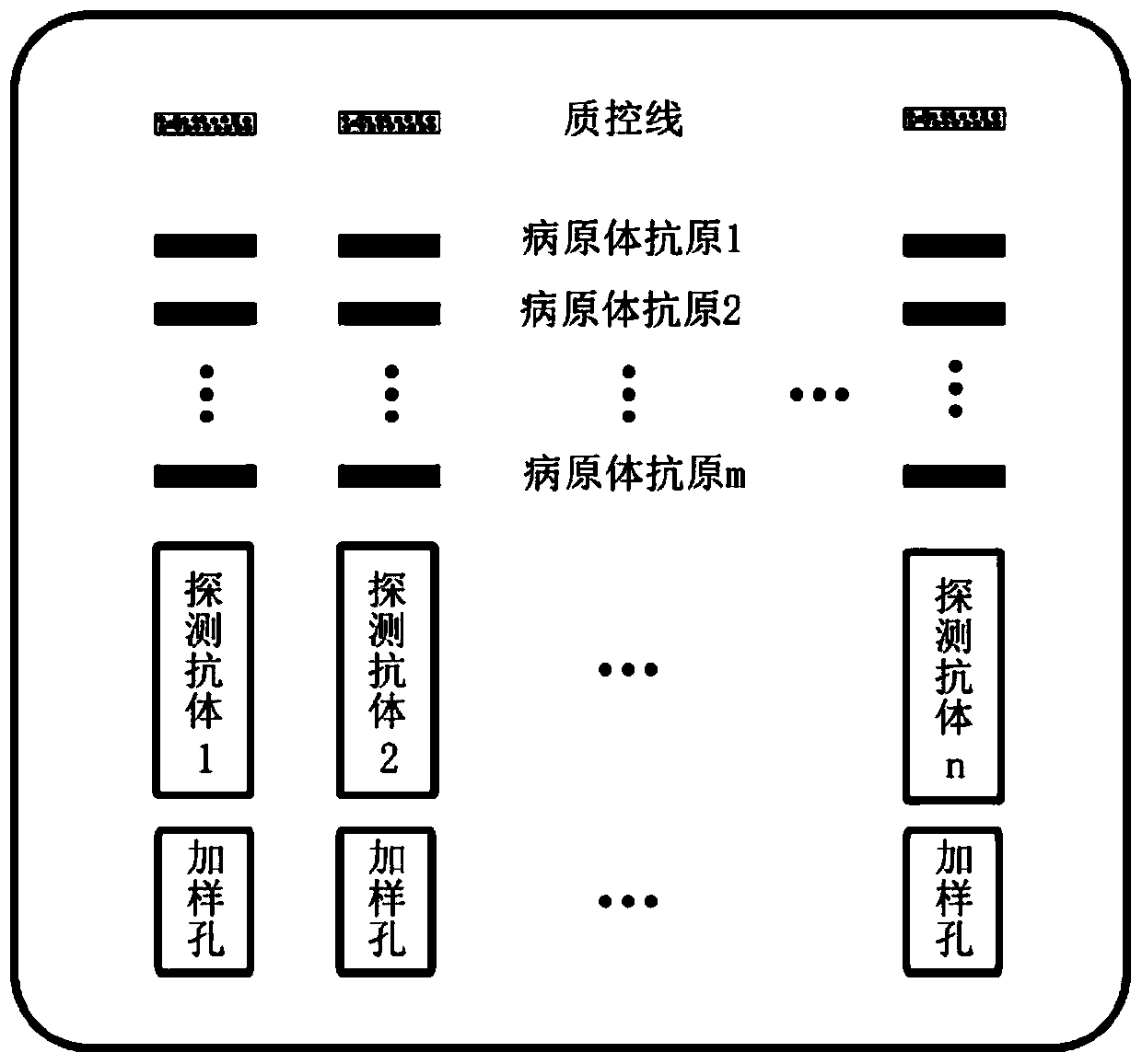 Antibody matrix detection method (MEGA method) and multiplex detection card for pathogen antigens