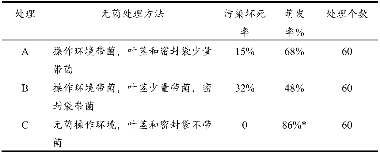 Hedychium coronarium breeding method based on leaf stem resting bud germination promotion