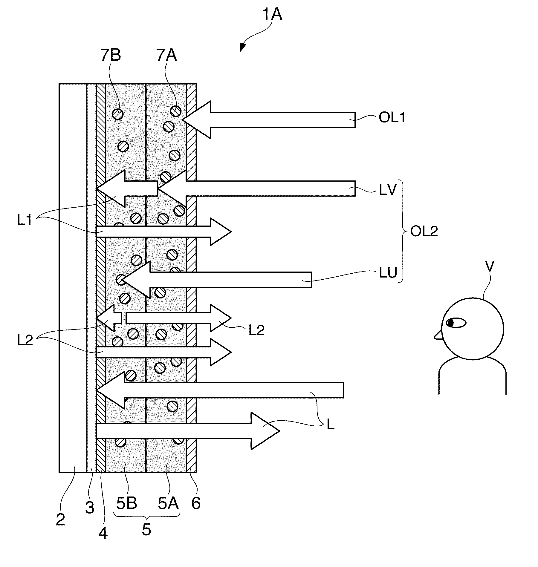 Screen and projection system