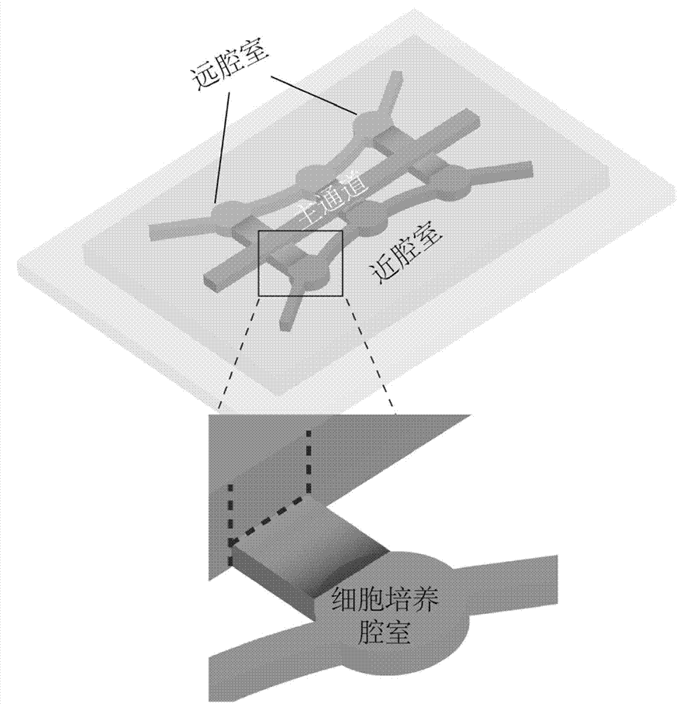 Microfluidic chip apparatus and application thereof