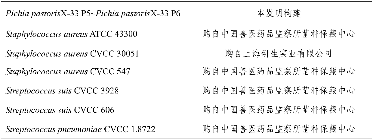 Natural antimicrobial peptides and application thereof