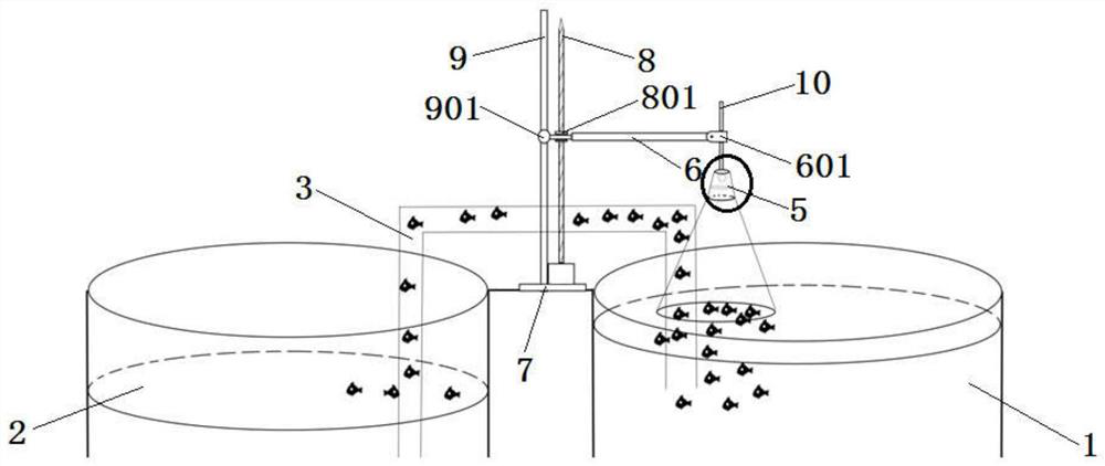 A device and method for group feeding and tank dumping of green-finned horse-faced fish juveniles induced by weak light