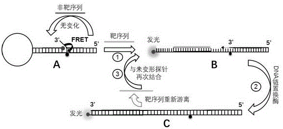 Kit capable of performing semiquantitative detection on micro ribonucleic acid 100 (microRNA100) directly