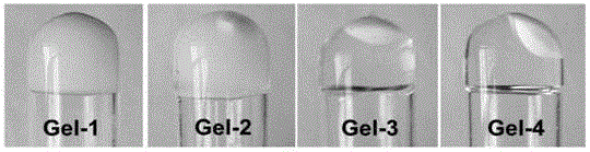 Method for preparing environment-sensitive cyclodextrin derivative hydrogel