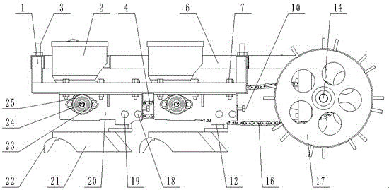 Front-profiling type pseudo-ginseng sower