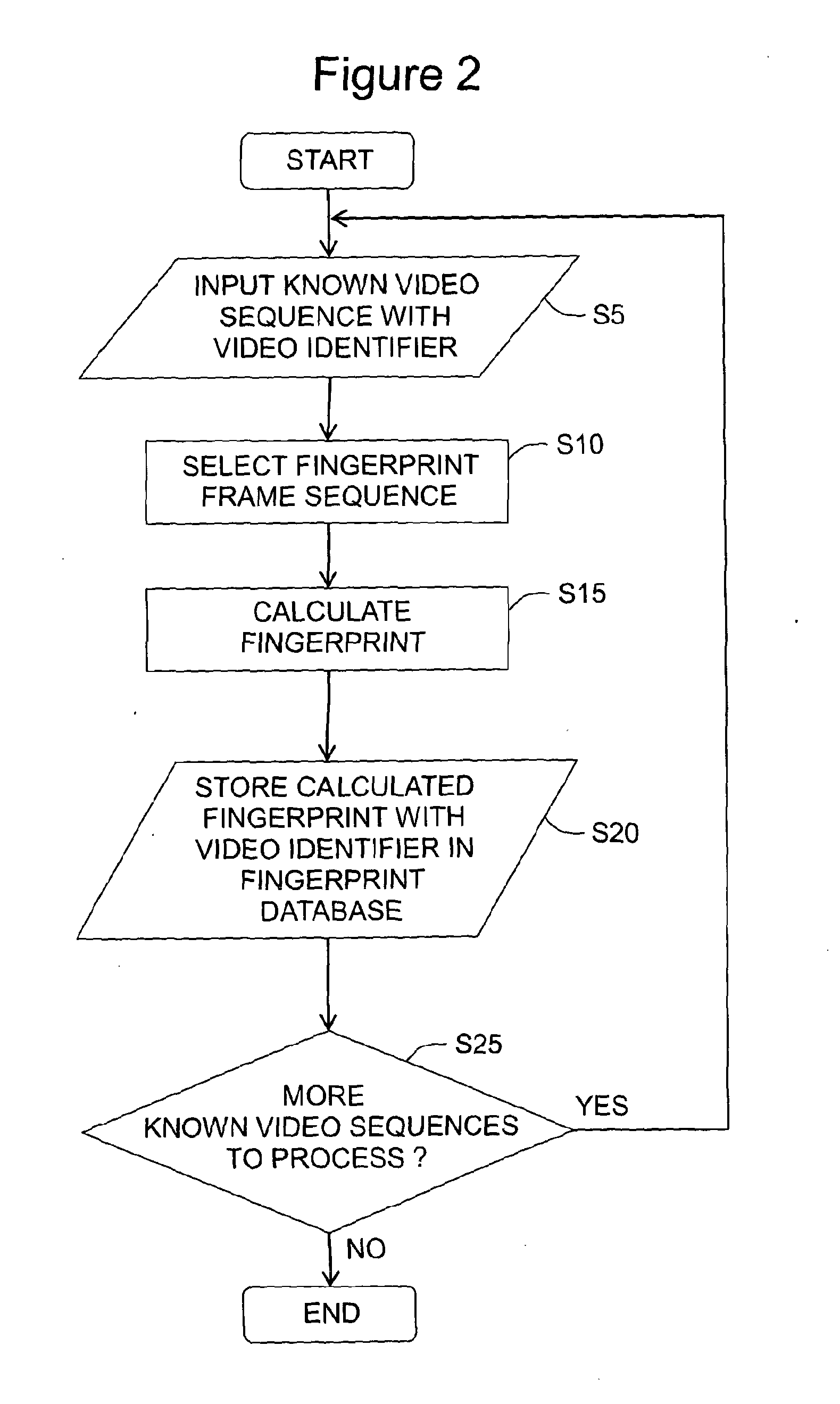 Digital video fingerprinting