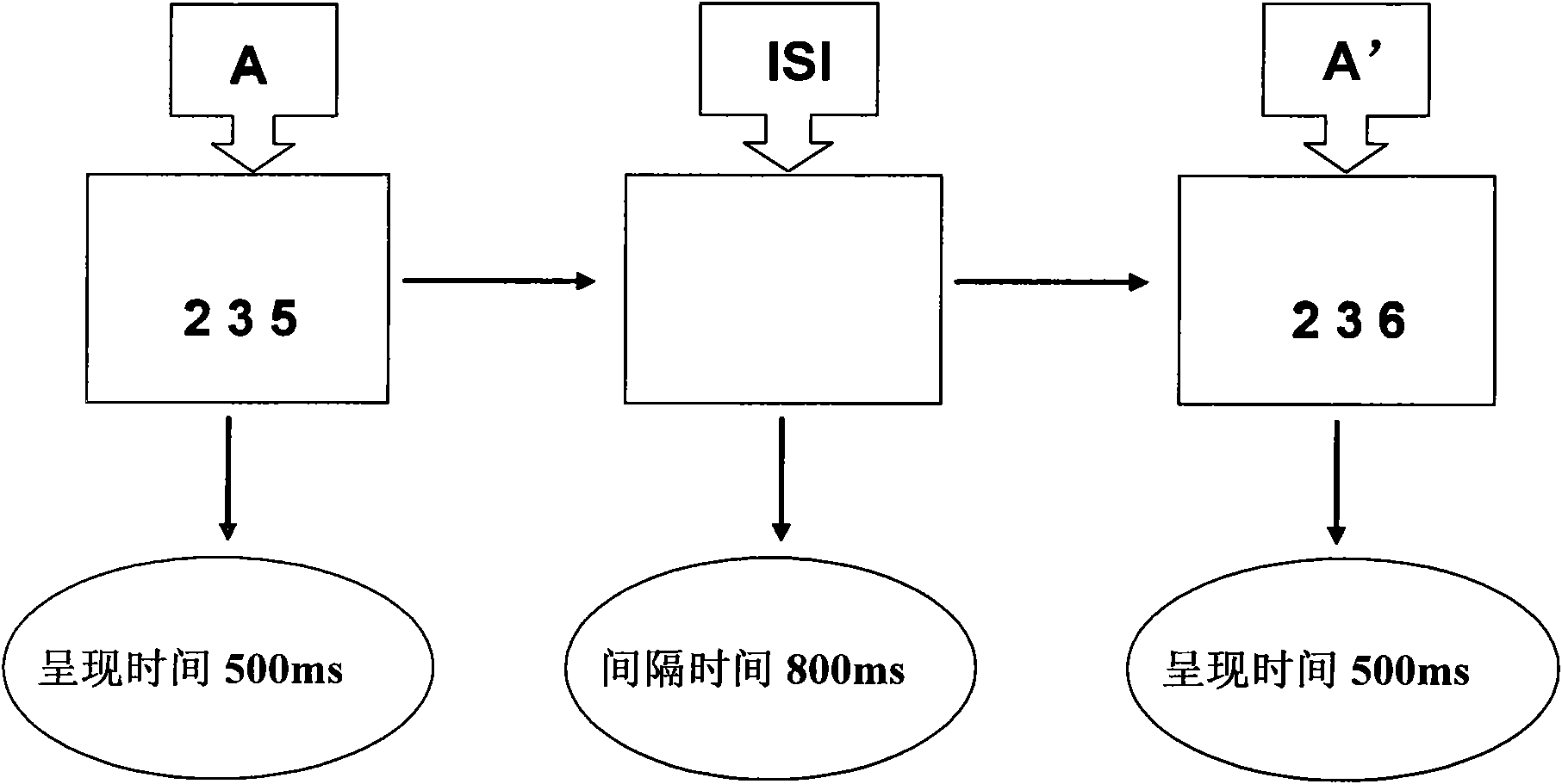 Vision and touch tester and visual and tactual sensitivity testing method