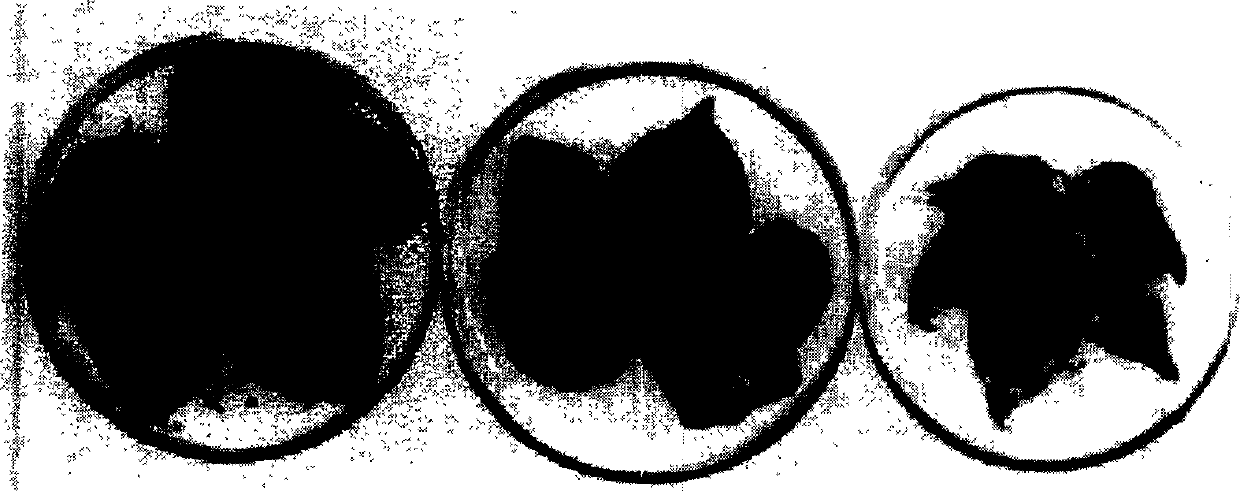 Recombined rhabdovirus containing double valence insect resisting gene