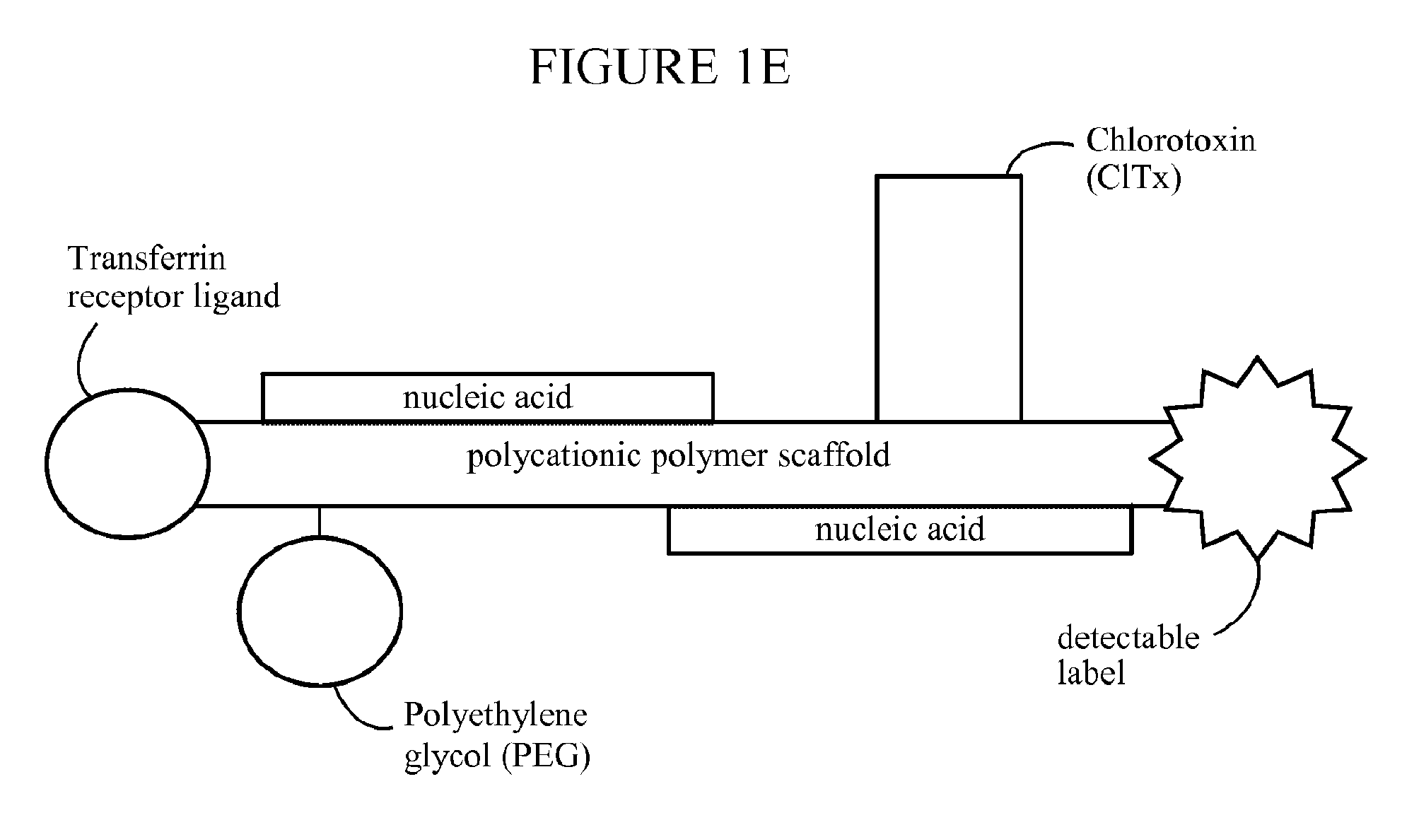 Nanoparticles for targeted gene therapy and methods of use thereof