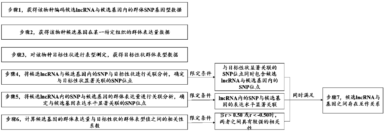 Method for identifying plant lncRNA and gene interaction