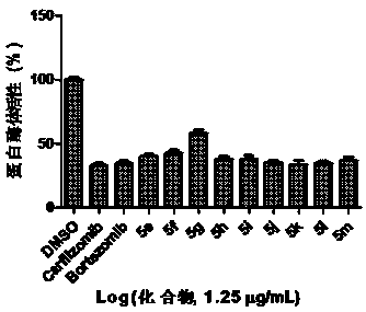 Tripeptide epoxy ketone compound constructed by heterocycle and its preparation and application