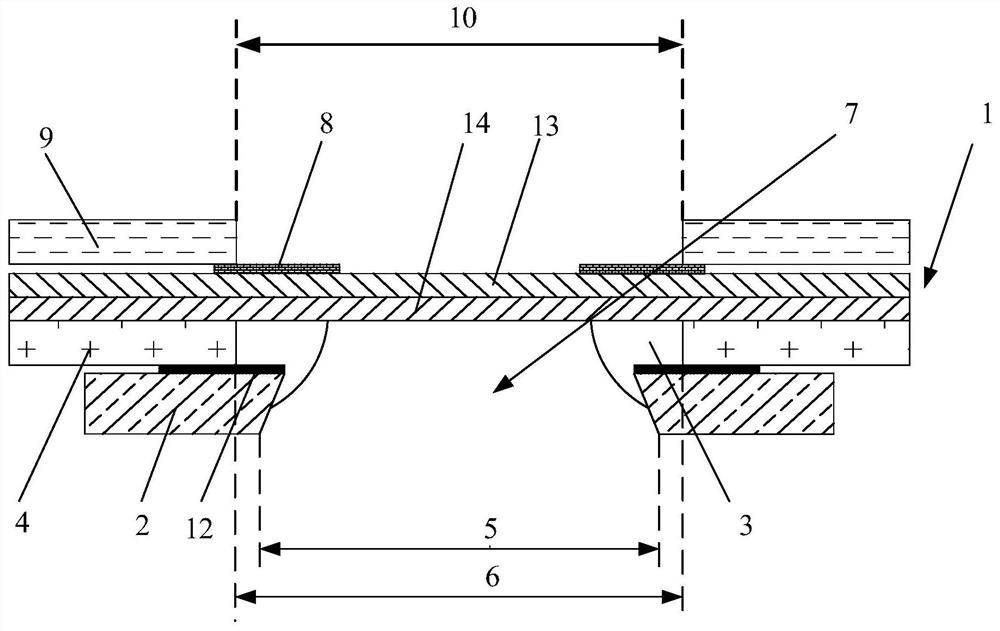 Liquid crystal display screen and display device