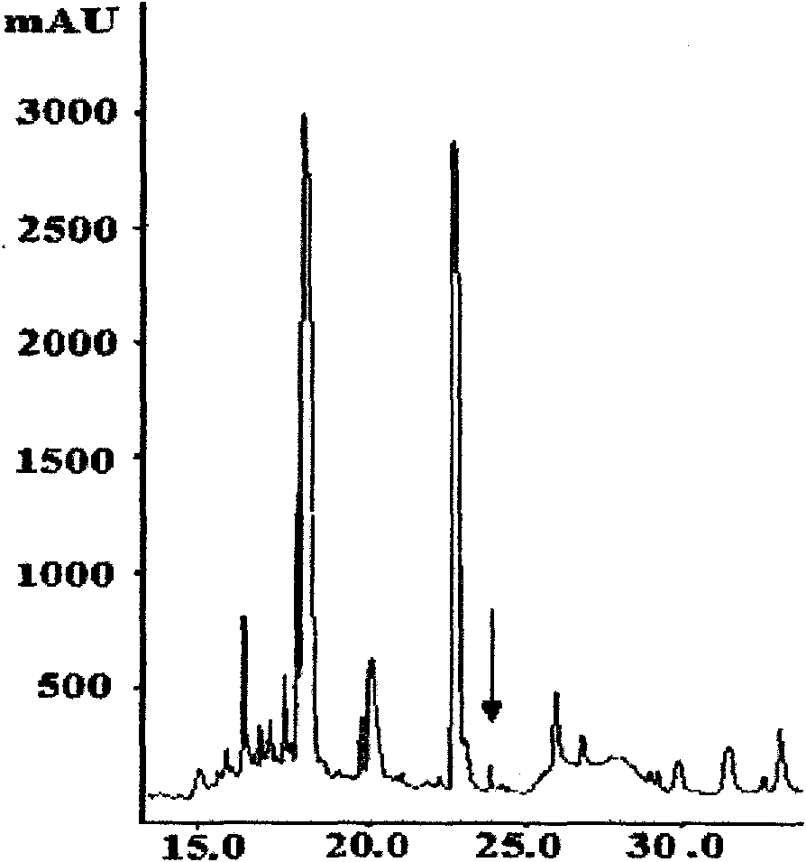 Bursa of Fabricius heptapeptide with immune regulation effect