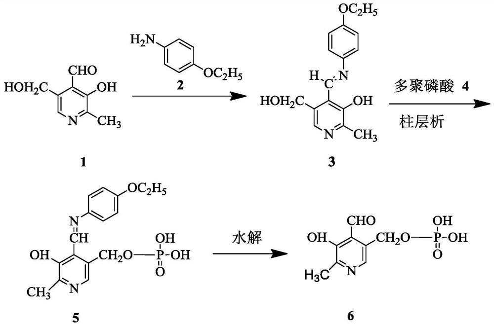 A kind of synthetic technique of 5'-pyridoxal phosphate