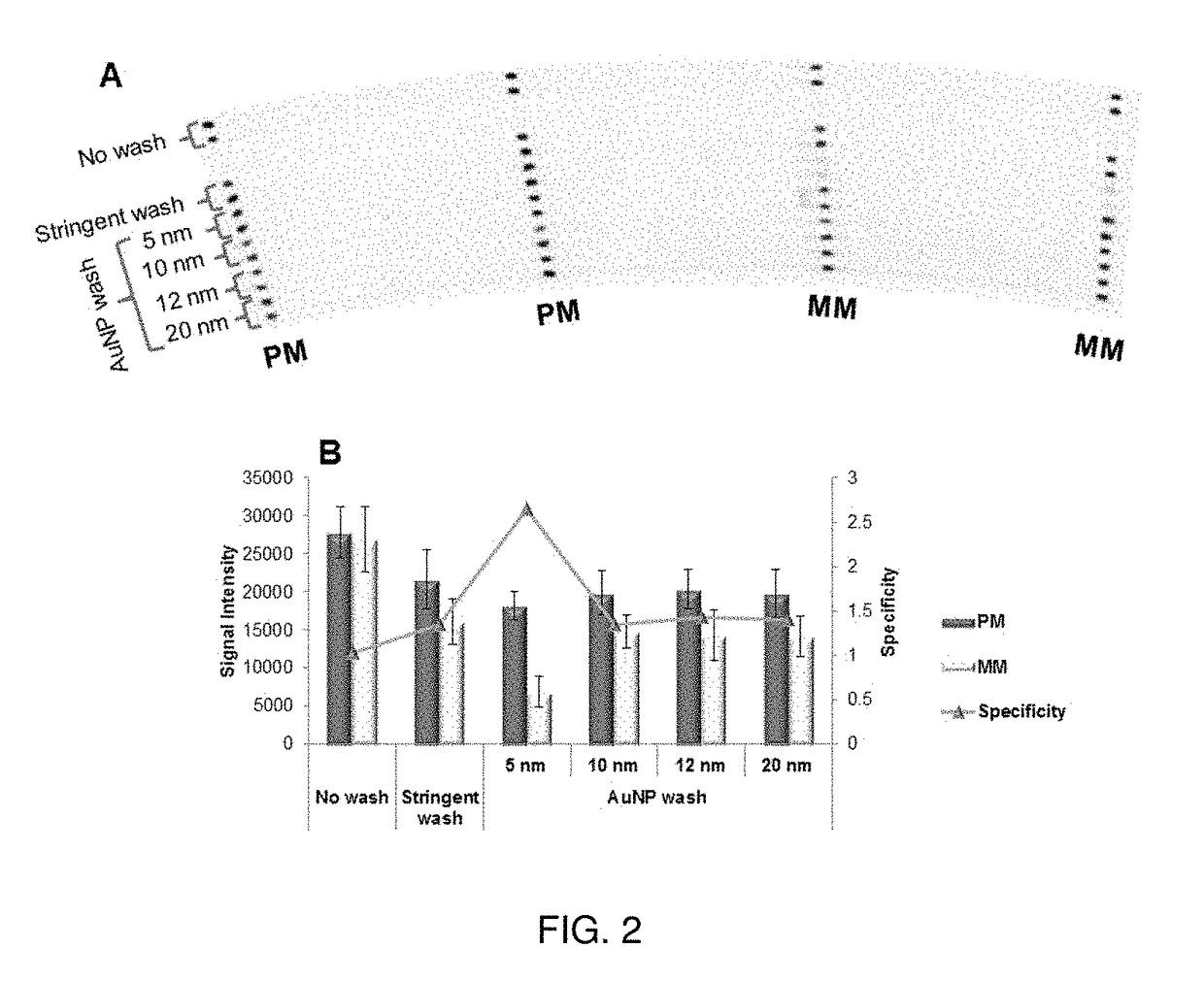 Methods and Apparatus for Nanoparticle-assisted Nucleic Acid Amplification, Hybridization and Microarray Analysis