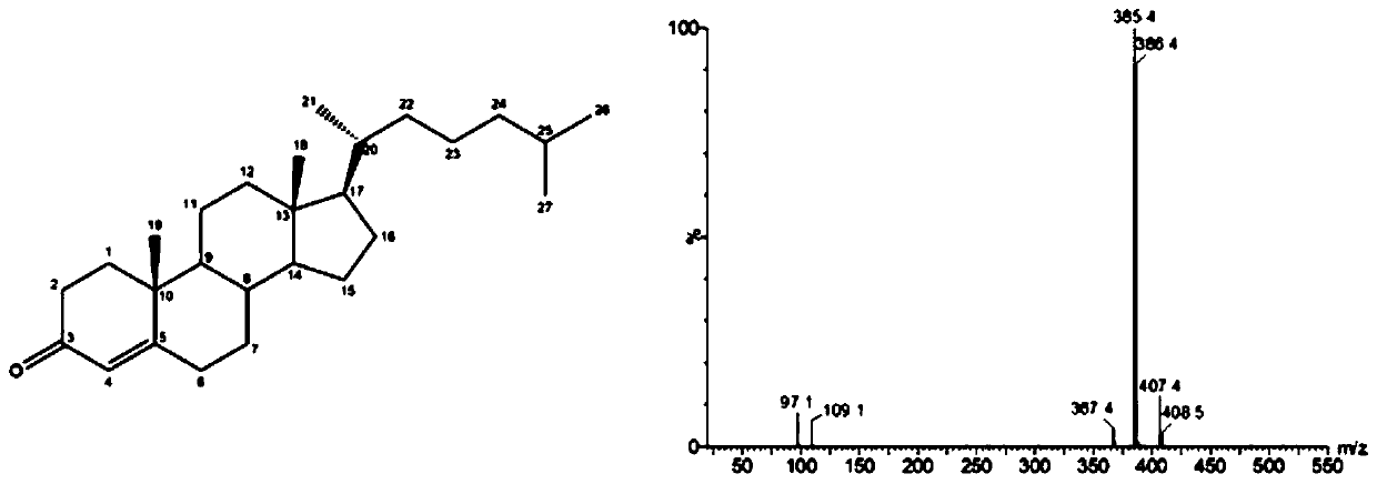 Cholesterol oxidase and application thereof