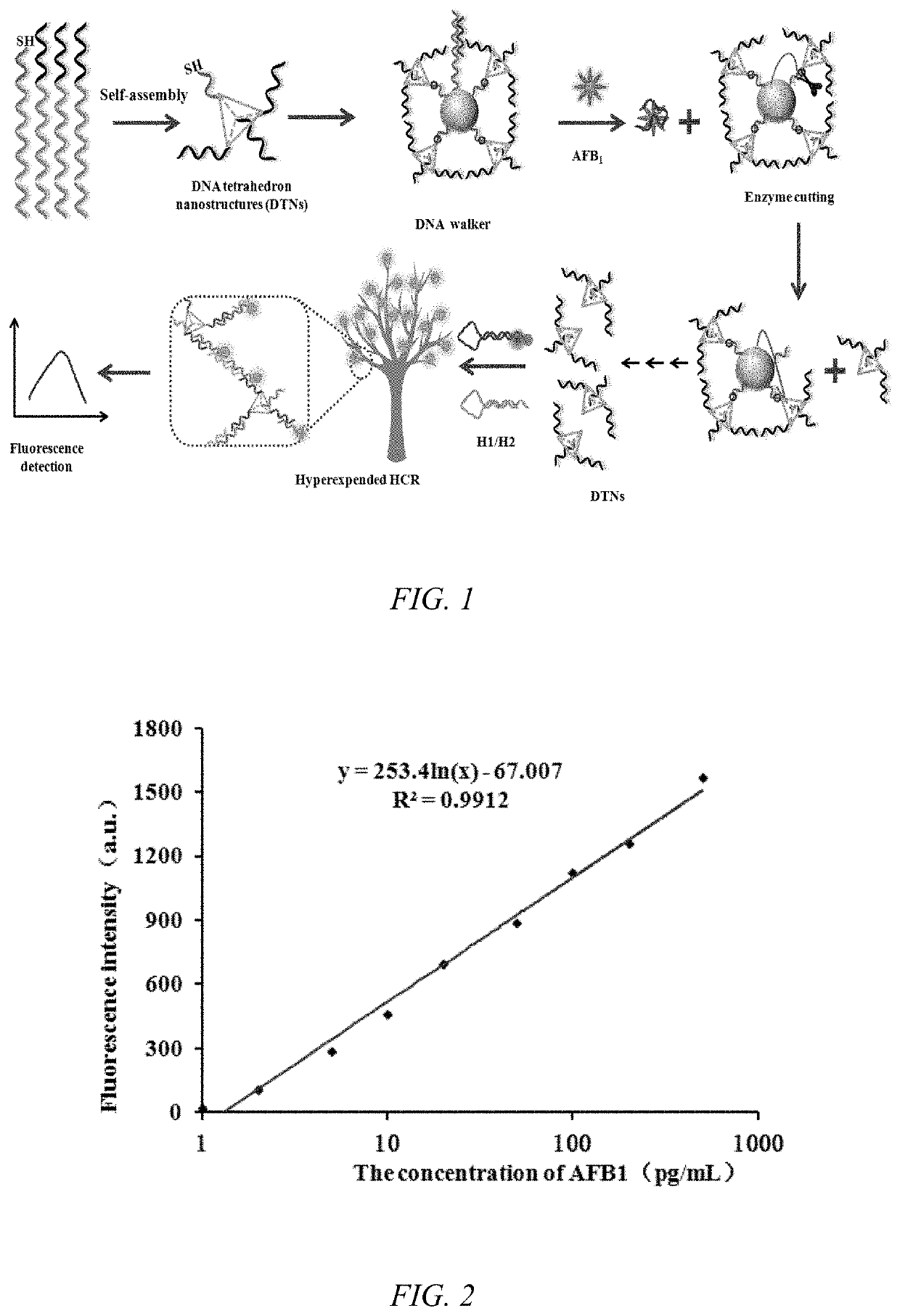 Kit for aflatoxin b1 (AFB1) monitoring