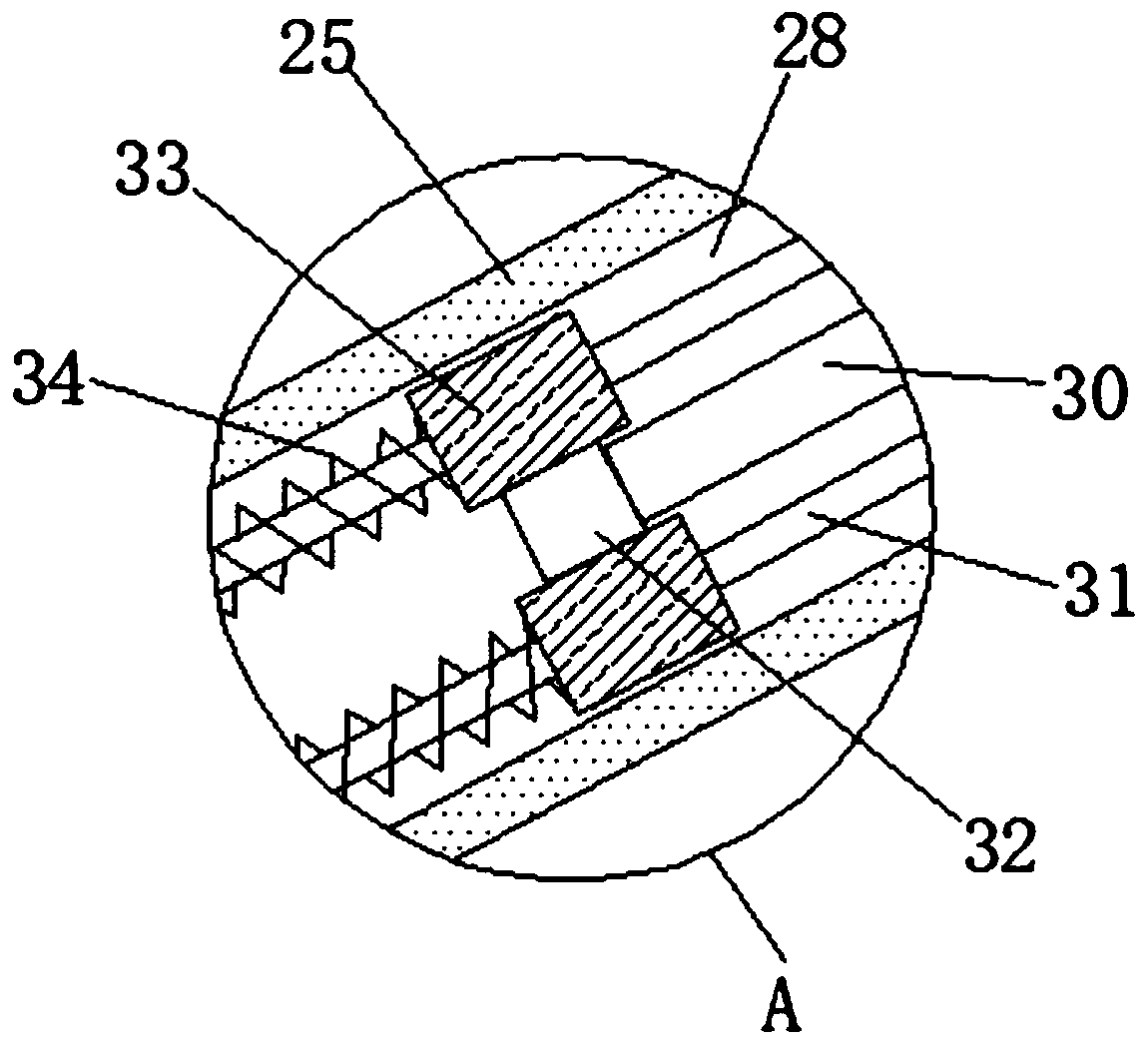 Automatic painting device